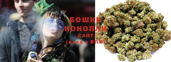 spice Бородино