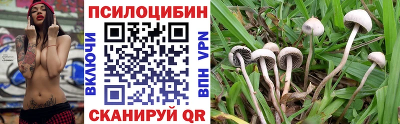 Псилоцибиновые грибы прущие грибы  где продают наркотики  Гусь-Хрустальный 